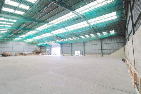 Rottenburg an der Laaber Halle, Rottenburg an der Laaber Hallenfläche