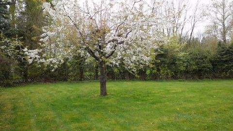 Norken Häuser, Norken Haus kaufen