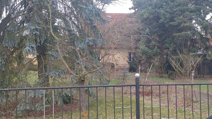 Blick zum Haus über das Grundstück