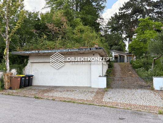Garage und Zufahrt