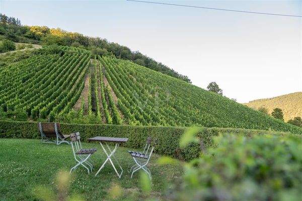 Picknickplatz über dem Weinkeller