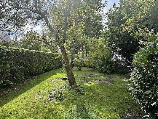 Ganz viel Baumbestände