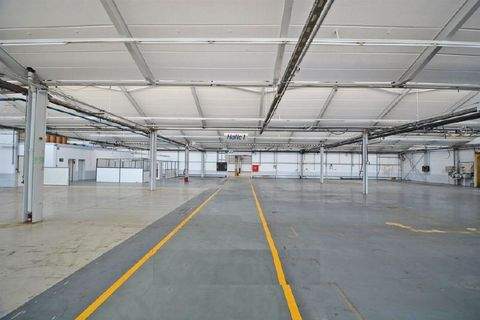 Neukirch Halle, Neukirch Hallenfläche