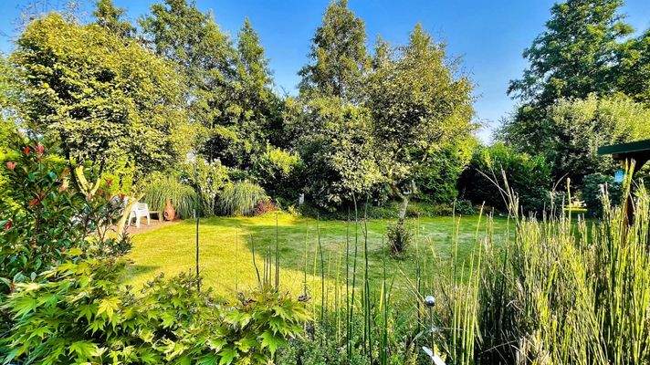 Blick in den Garten