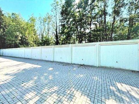 Sengenthal Halle, Sengenthal Hallenfläche