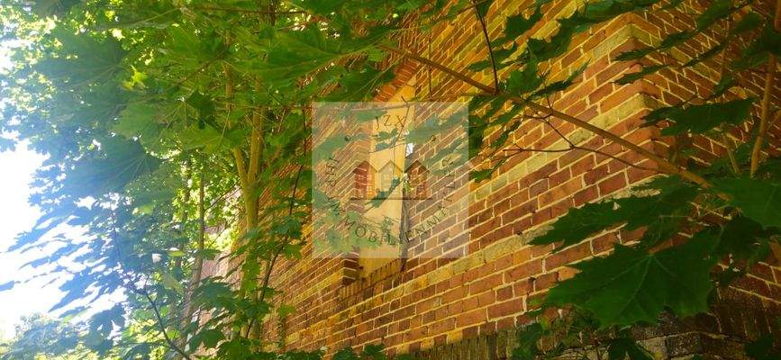 WhatsApp Image 2025-07-02 at 13.09.13 (1)