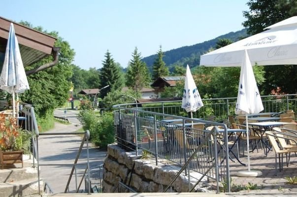 Blick von der Terrasse im Sommer