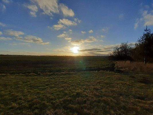 4.1 R. kurz vor dem Grenzpunkt Wildgänse im Hinter