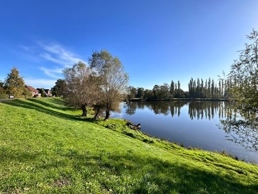 Teich direkt vor der Tür