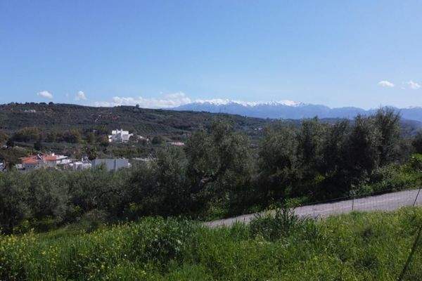 Kreta, Tavronitis: Erstklassiges Grundstück in der Nähe des Strandes zu verkaufen