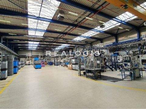 Alzenau Halle, Alzenau Hallenfläche