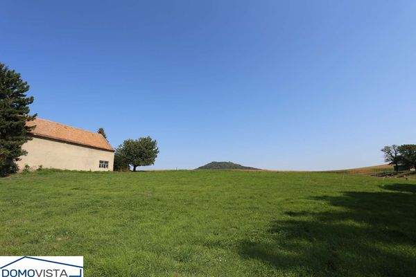 45. Blick auf die Wiesenflächen