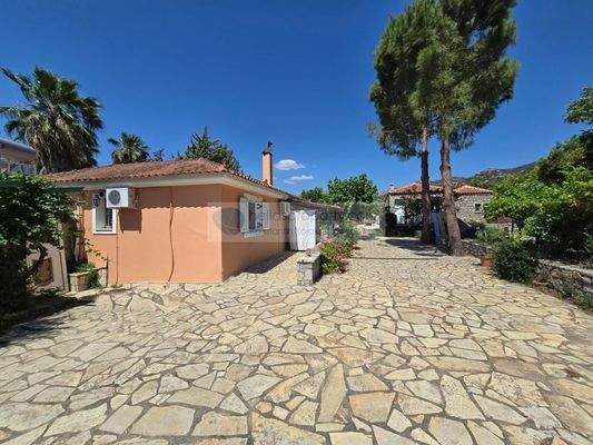 img_d0383958-0292-40de-96c1-73fa220d2057