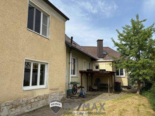 16 Terrasse+Ginseng Baum