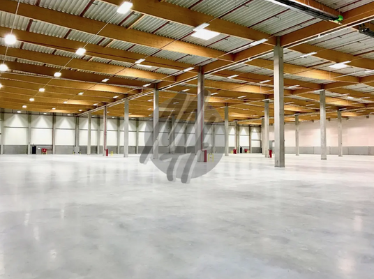 INFOS UNTER: 06171-586000