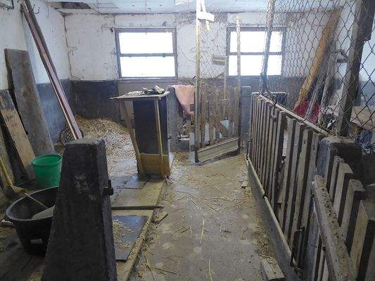 Stall in rechter Scheune