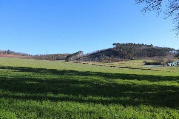 angrenzende Felder und Wiesen