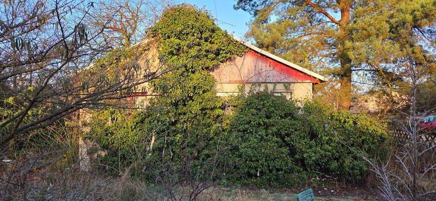 Ansicht Asseburgpfad