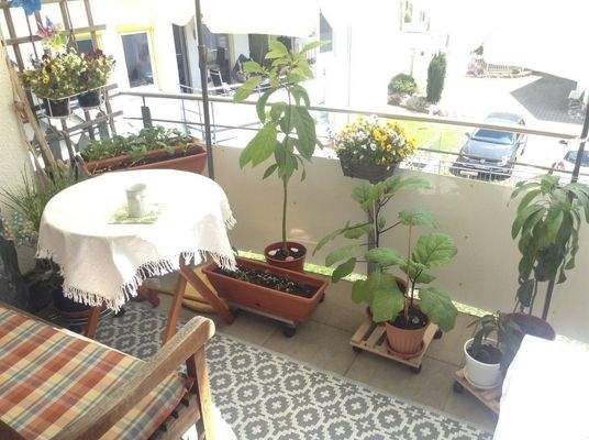 Loggia überdacht.jpg