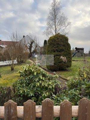 IMG_2629 Garten