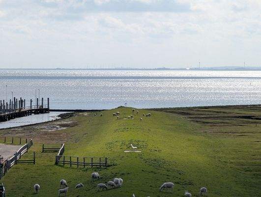 Blick aus der Wohnung