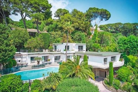 Cannes Häuser, Cannes Haus kaufen