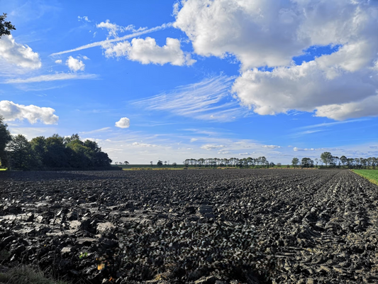 3ac7cac7-bd5e-4a17-8cb1-a0f67bc90041