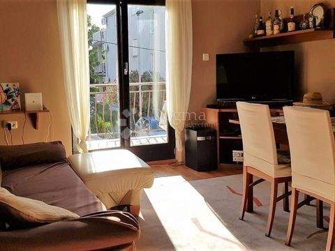 Centar, Luka, Finida Wohnungen, Centar, Luka, Finida Wohnung mieten