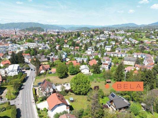 BELA Ansicht