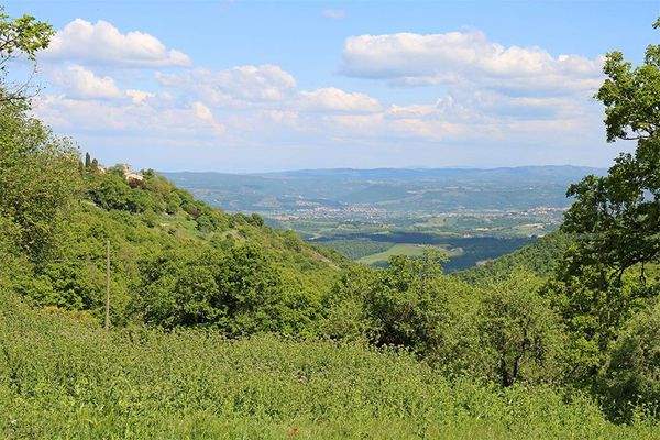 Restaurierungsbedürftiges Bauernhaus mit Nebengebäude in einmaliger Lage