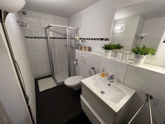 modernisiertes Bad im Untergeschoss 