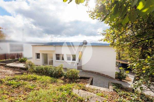 Rückansicht / Garten