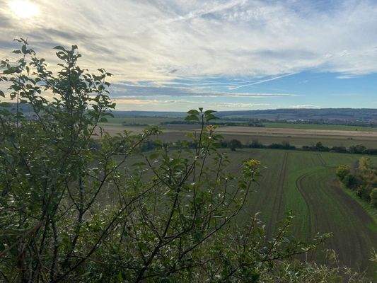 d2cf74c1-7c1f-4d2d-b730-b5170840ed5f