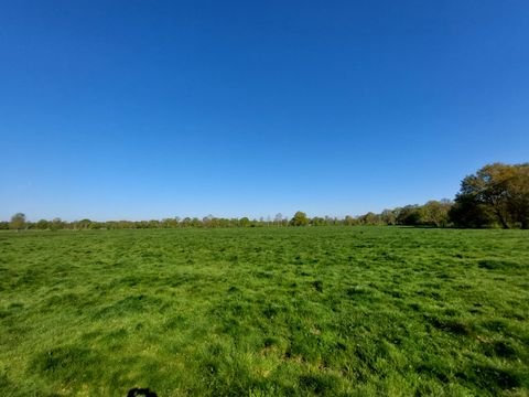 Hude (Oldenburg) Bauernhöfe, Landwirtschaft, Hude (Oldenburg) Forstwirtschaft