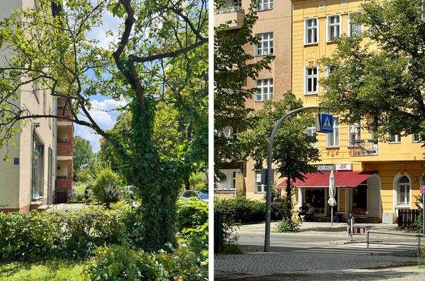 Letteallee Umgebung.jpg