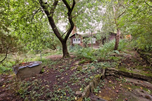 Garten.jpg