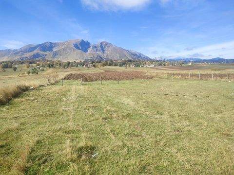 Zabljak, Cetinje Häuser, Zabljak, Cetinje Haus kaufen