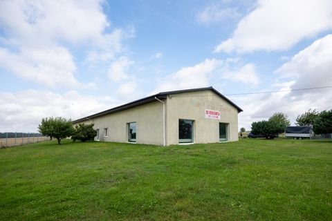 Neuenkirchen Halle, Neuenkirchen Hallenfläche