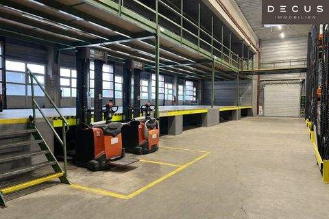 Wien Halle, Wien Hallenfläche