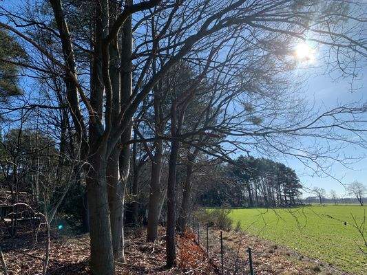 viele Möglichkeiten......