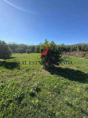 WhatsApp Image 2025-10-30 at 11.44.15 (1).jpeg