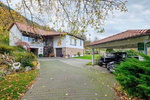 Einfahrt-Carport