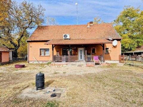 Kiskunmajsa Bauernhöfe, Landwirtschaft, Kiskunmajsa Forstwirtschaft