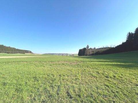 Kirchhaslach / Herretshofen Bauernhöfe, Landwirtschaft, Kirchhaslach / Herretshofen Forstwirtschaft