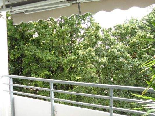 Blick ins Grüne vom Balkon