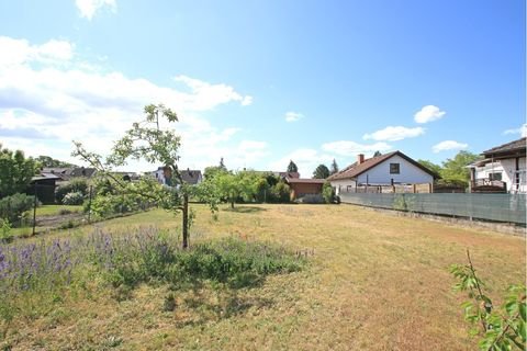 Mannheim Grundstücke, Mannheim Grundstück kaufen