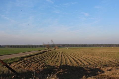Aken (Elbe) Bauernhöfe, Landwirtschaft, Aken (Elbe) Forstwirtschaft