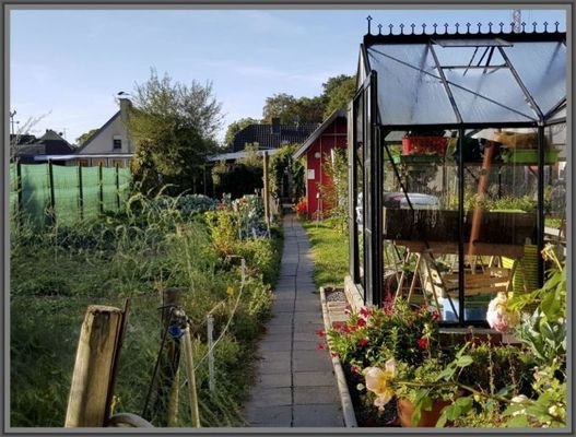 Blick in den Garten