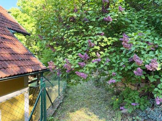 Aussenaufnahme Mai 25