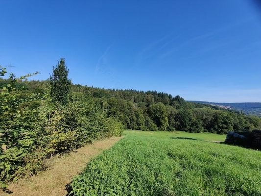 in grüner Waldrandlage mit Aussicht